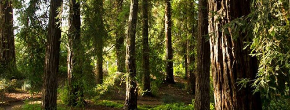 ICAM Week of Science: Aug 31 – Sept 4, 2026